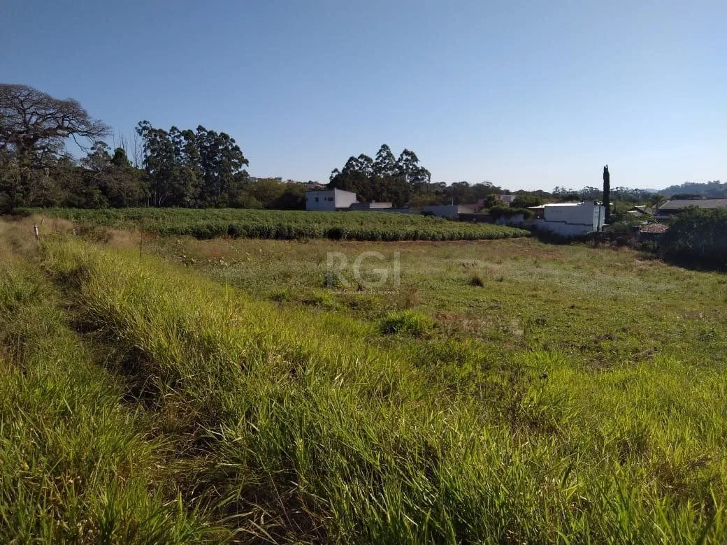 Imagem Area para Venda - 36.900m² - Campo Novo