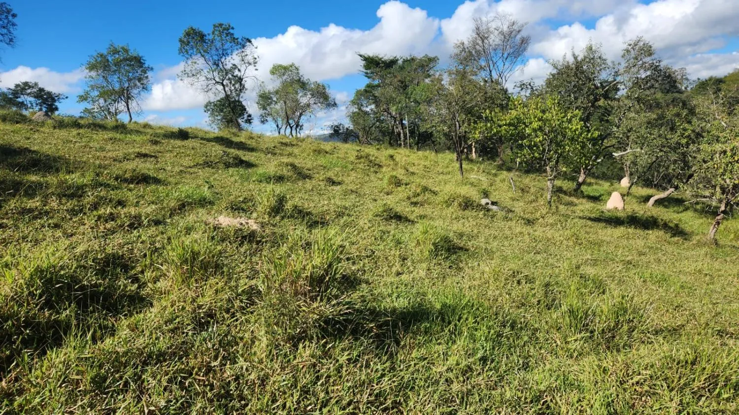 Imagem Vende-se excelente terreno em Bonfim/MG com Área total de 23 hectares, toda formada