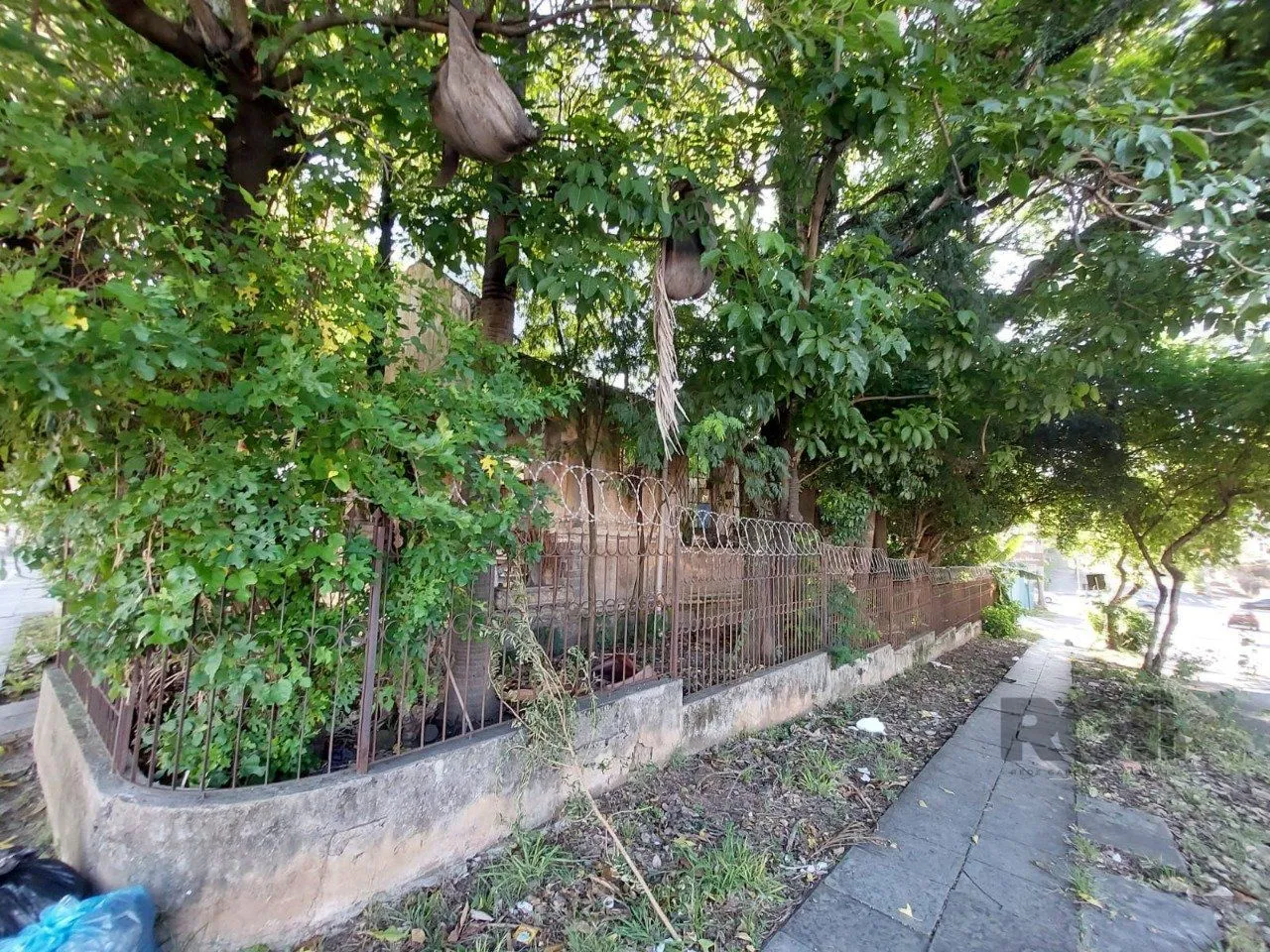 Imagem Terreno em Medianeira