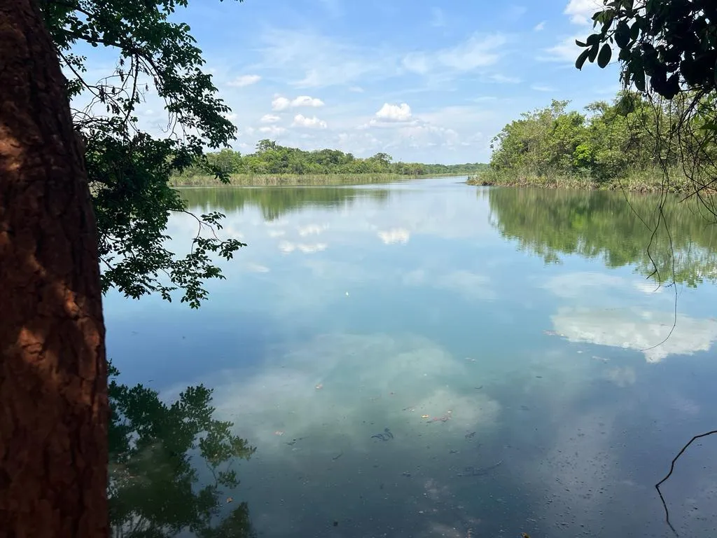 Foto do imóvel FAZENDA À VENDA - REGIÃO DE UNAÍ (MG) 1.400 hectares de terra