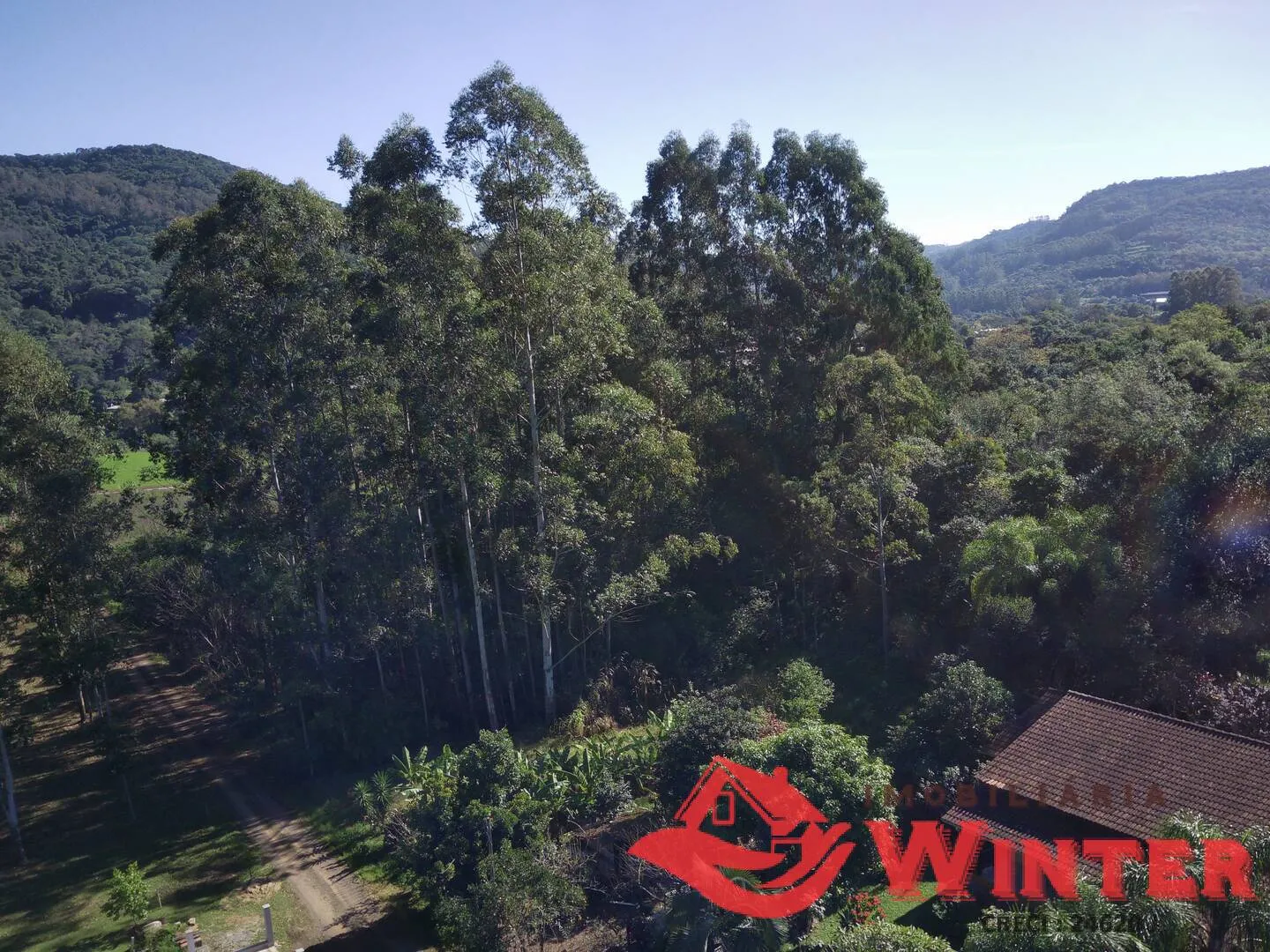 Imagem Chácara com casa e galpão com 6 hectares no Bananal, Feliz
