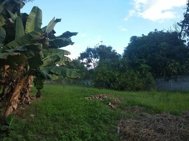 Imagem Chácara à venda 3 Quartos, 1 Suite, 2 Vagas, 1000M², Goiabal, Pindamonhangaba - SP
