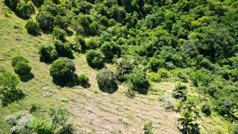 Imagem Oportunidade de Terrenos na serra