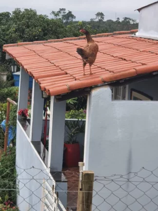Imagem Chácara no Piraporão - Piedade