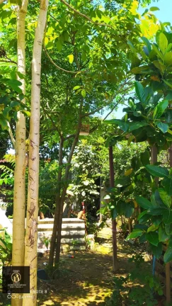 Imagem Casa, Vila Margarida São Vicente - SP