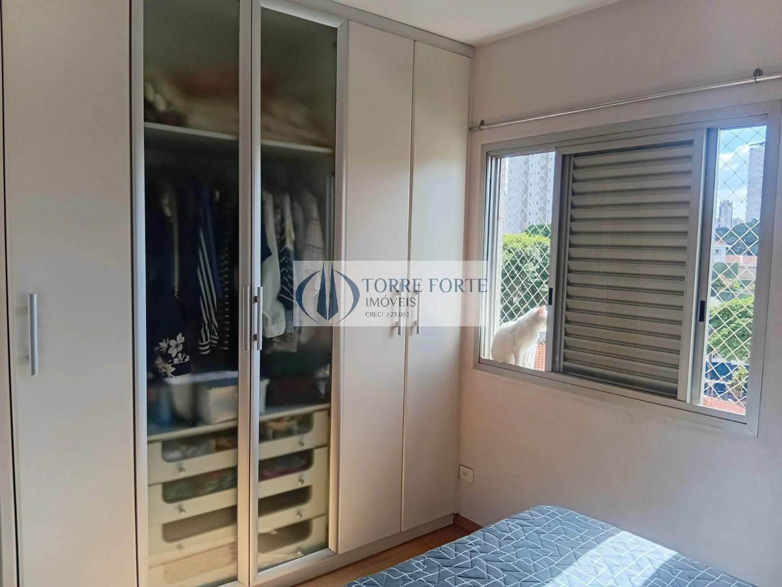 Imagem Belo Apartamento com 3 Dormitórios em Vila Formosa