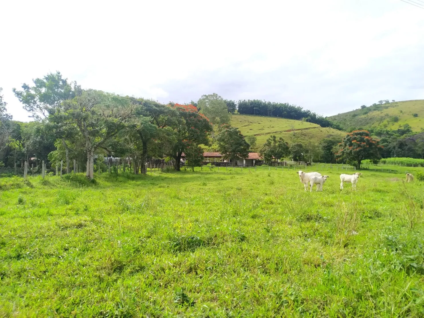 Imagem Chácara à venda 170000M², Bom Sucesso, Pindamonhangaba - SP