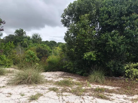 Foto do imóvel Terreno a venda em Praia do Forte