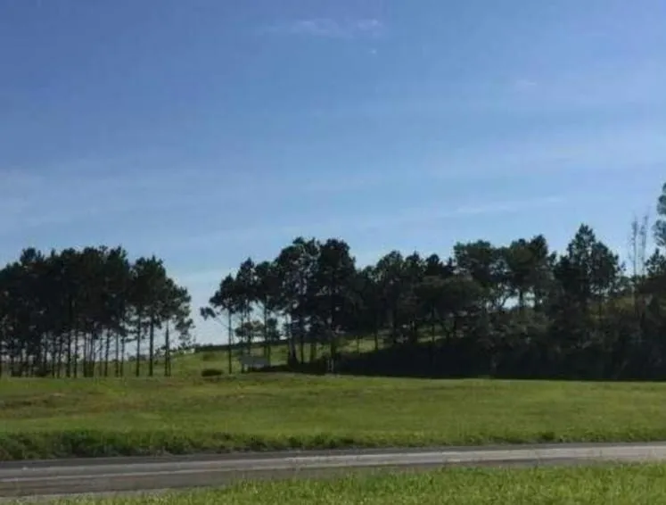 Foto do imóvel Área na Rodovia Castelo Branco (em frente a Toyota) em VILA ARTURA, SOROCABA - SP
