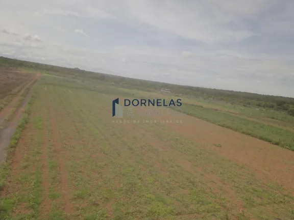 Imagem ÁREA RURAL AS MARGENS DA BR-020 18,9 HECTARES O CÓRREGO PASSA DENTRO ESTUDA TROCA