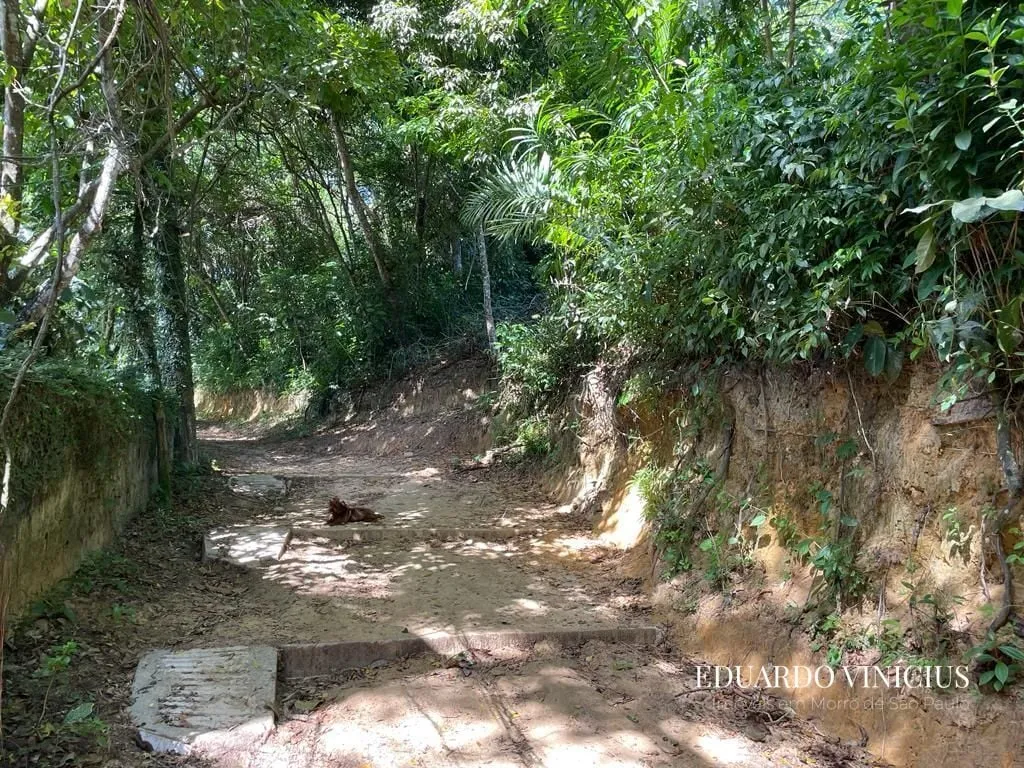 Imagem Jardim Botânico - Terreno com 1.874m² À Venda no Jardim Botânico em Morro de São Paulo