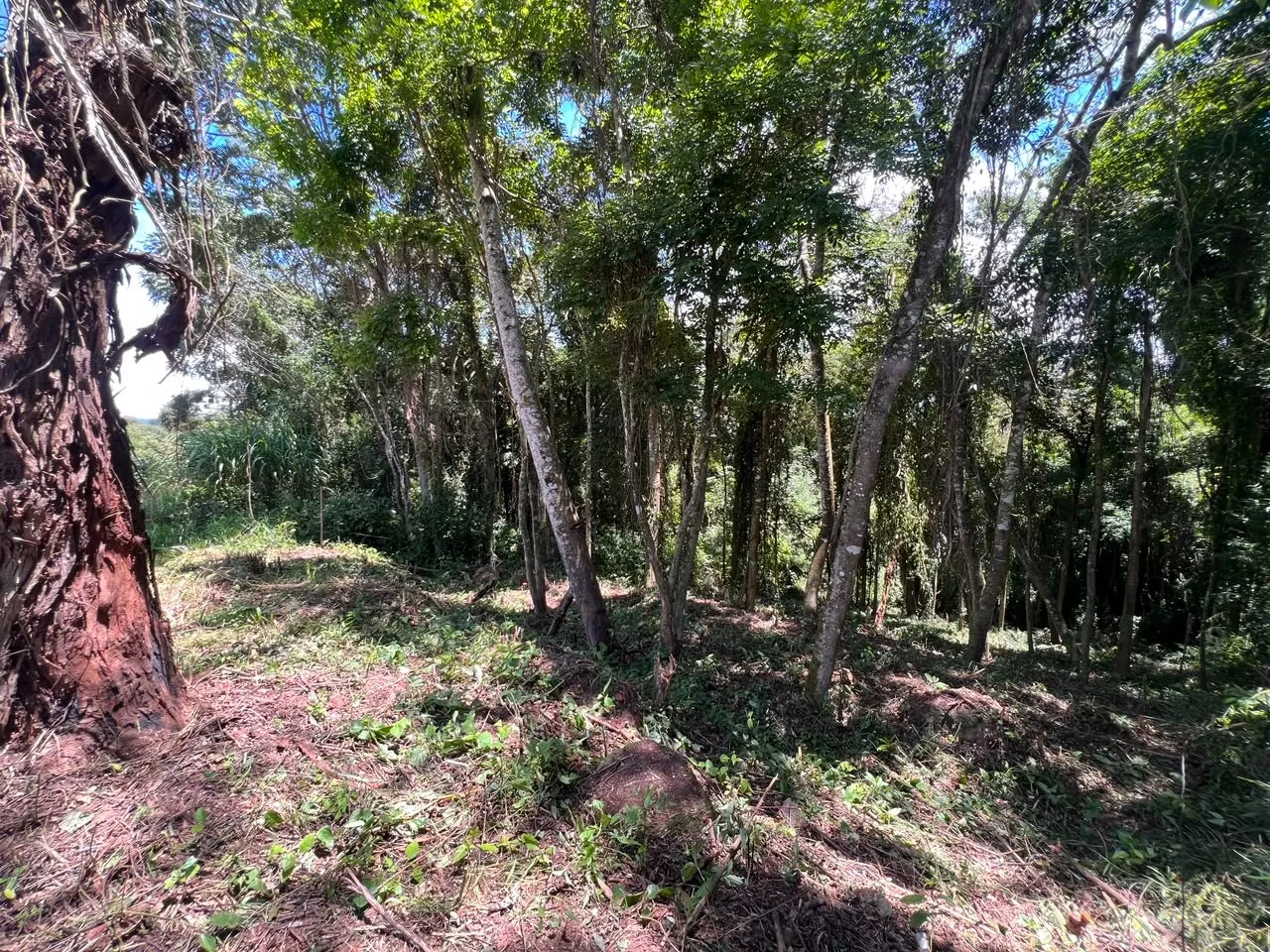 Imagem Terreno à 600mts da Repressa de Itupararanga no Loteamento Saveiros de Ibiúna