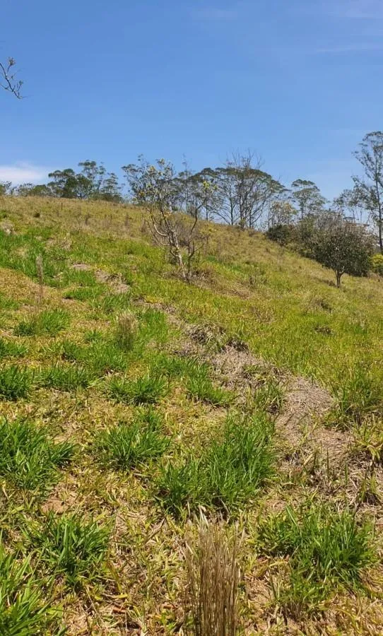 Imagem Terreno para Venda em Ribeirão Pires / SP no bairro Quarta Divisão