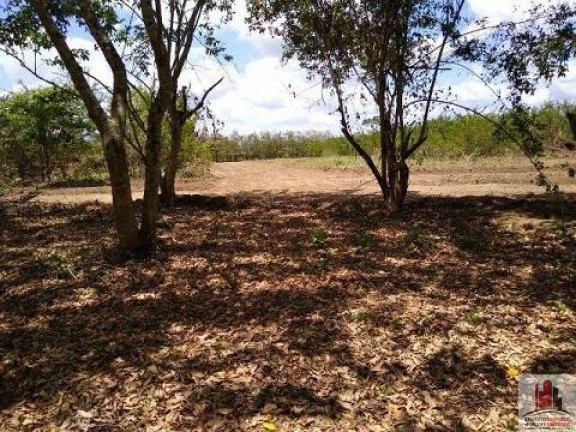 Imagem Terreno à Venda, 50.000 m² em Aldeia dos Camarás - Camaragibe