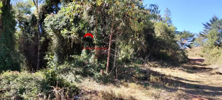Imagem Terreno a Venda na Região do Nova Capivari em Campos do Jordão -SP.