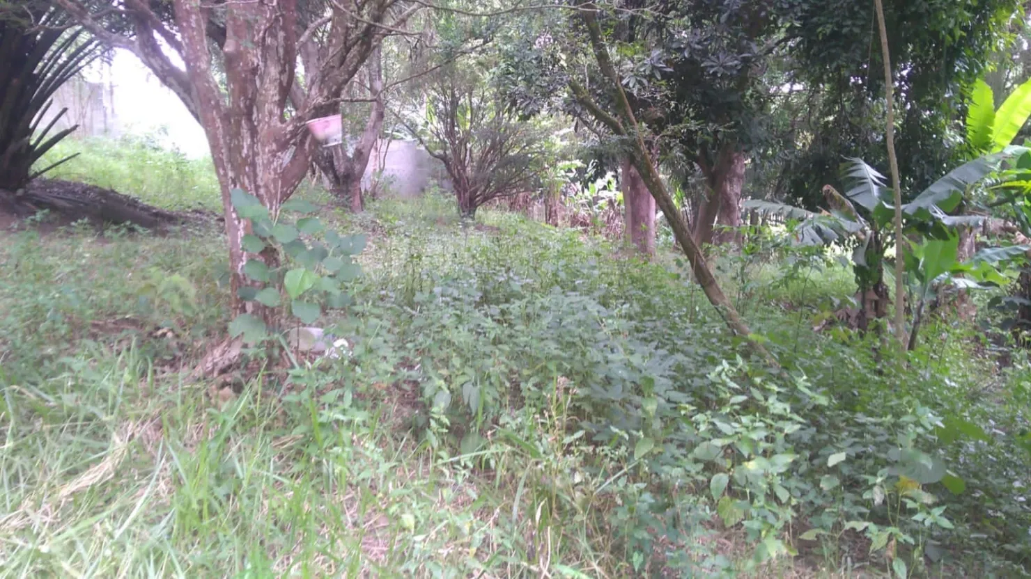 Foto do imóvel Terreno à venda 6866M², Crispim, Pindamonhangaba - SP