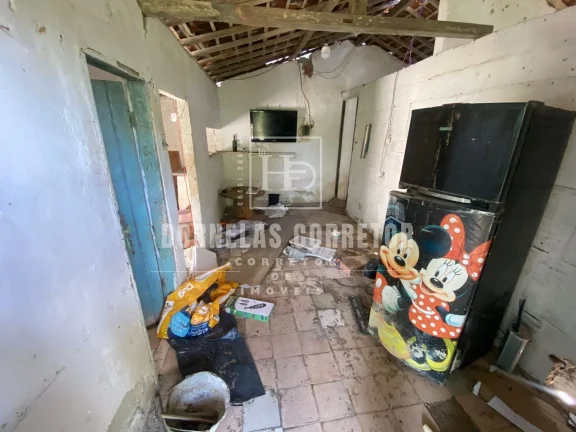Imagem Chácara em São Lourenço com +6 Hectares e 3 Casas - Oportunidade Única