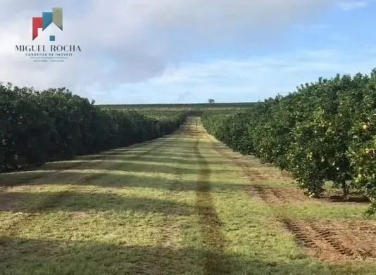 Imagem Fazenda Região de Marilia SP