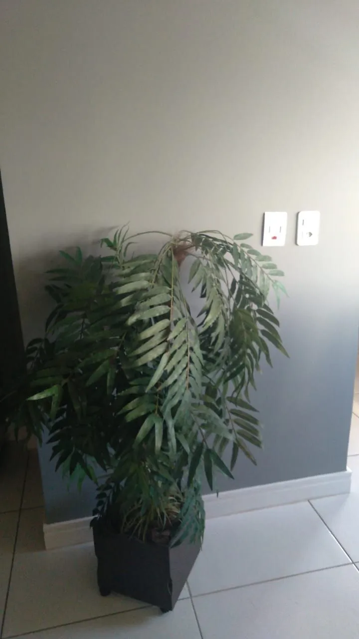 Imagem Apartamento em Praia de Arroio Teixeira (Arroio Teixeira)