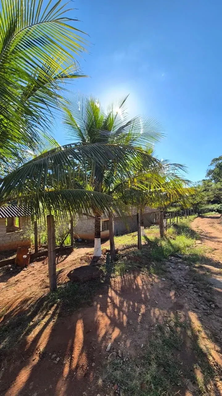 Imagem Sítio à Venda, 4 hectare em Monte Santo de Minas - Monte Santo de Minas
