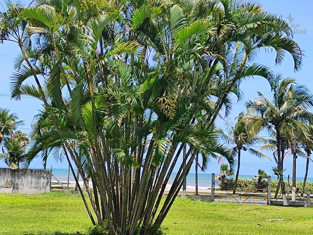 Imagem APT prédio frente mar, 2 quartos sendo 1 suite, Solemar,-Apenas R$299.000,00