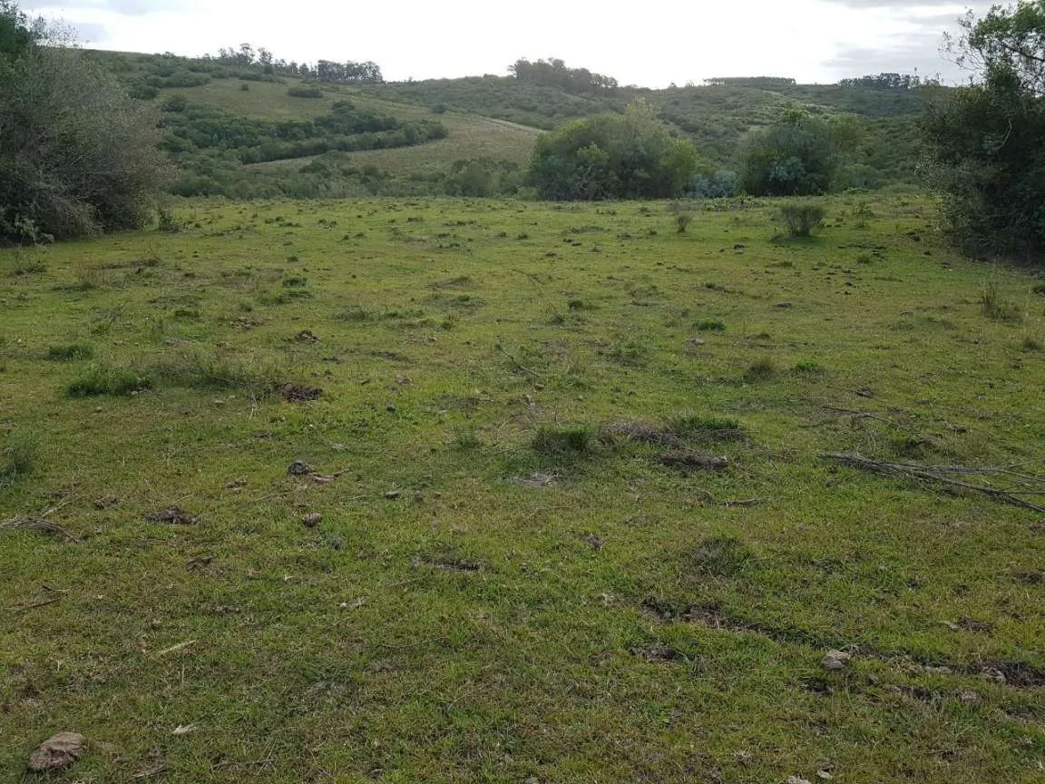 Imagem Sítio para Venda em Pedro Osório, Brasileiras