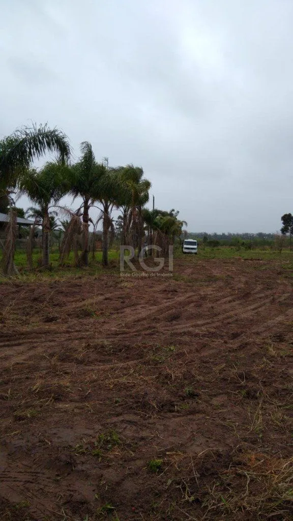 Imagem Area para Venda - 7787.1m², 0 dormitórios, Centro