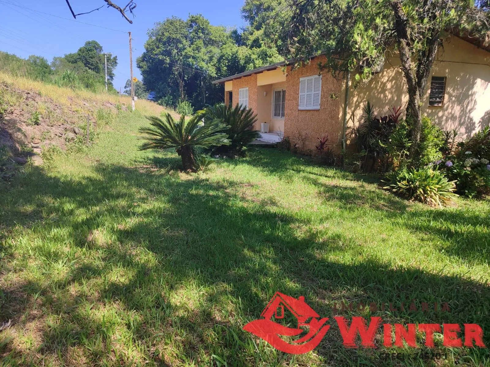 Imagem Área de terras com 7 hectares com casa e galpão em Vale do Lobo, Feliz.