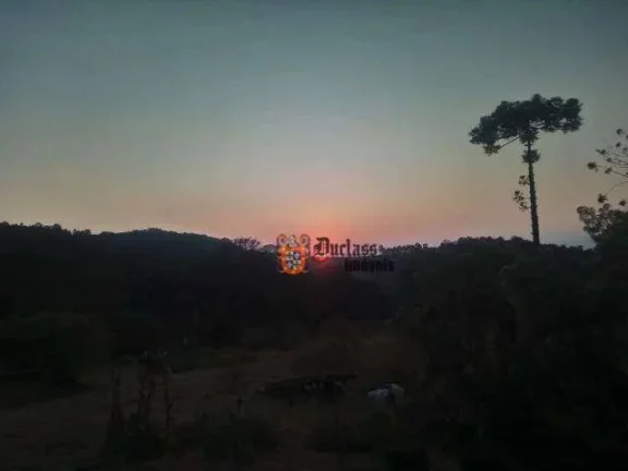 Imagem Sítio com 2 dormitórios à venda, 20000 m² por R$ 1.050.000,00 - Vargem - Vargem/SP