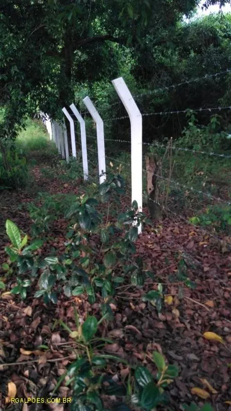 Imagem Terreno Comercial para Venda em DUQUE DE CAXIAS, Capivari