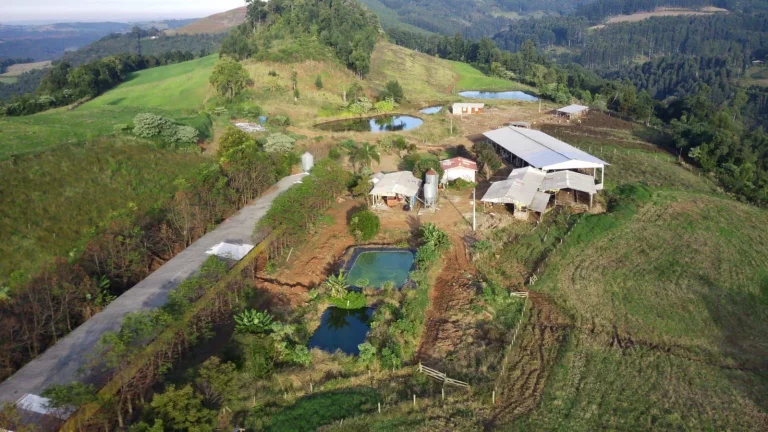 Imagem Área Agrícola para Venda em Concórdia, Interior