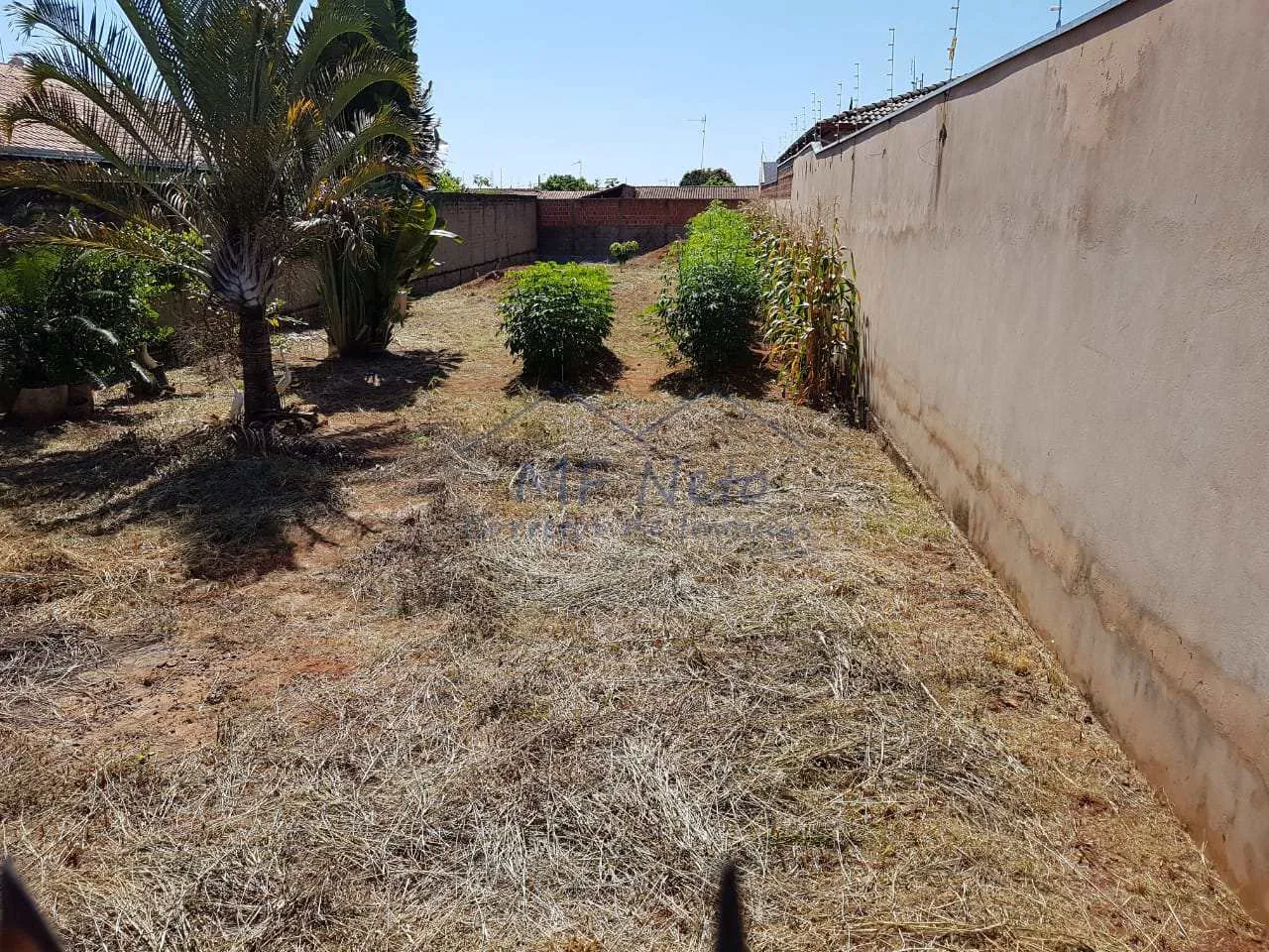 Imagem Terreno Padrão