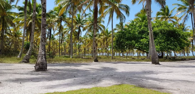 Imagem Ilha Paradisíaca