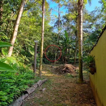 Imagem Lindo terreno na Beira Rio, com 1500 mt com patamar e area de preservaçao.