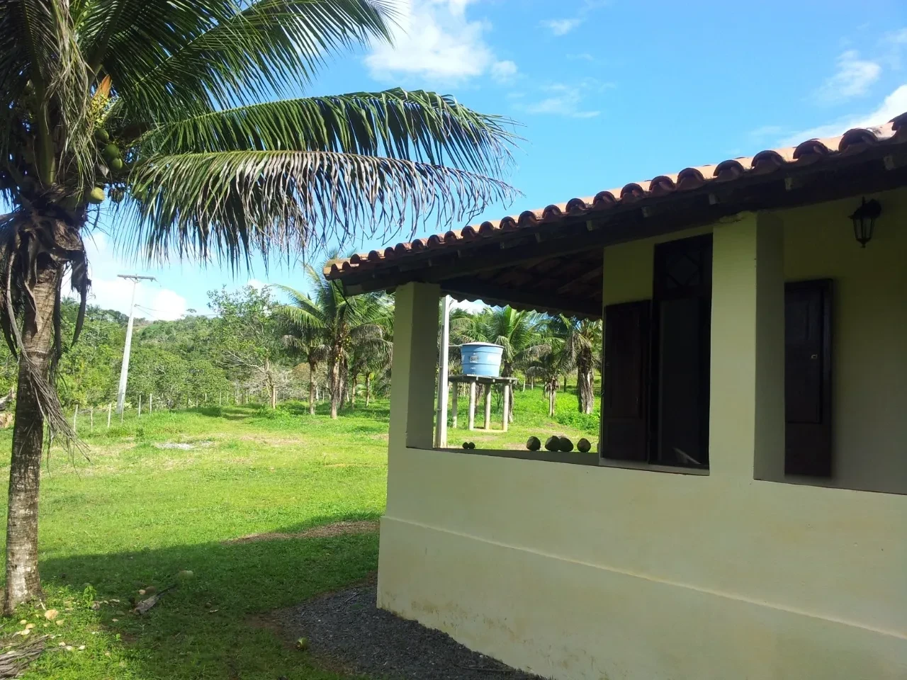 Imagem Fazenda à Venda, 18 HA em Jaguaripe - Jaguaripe