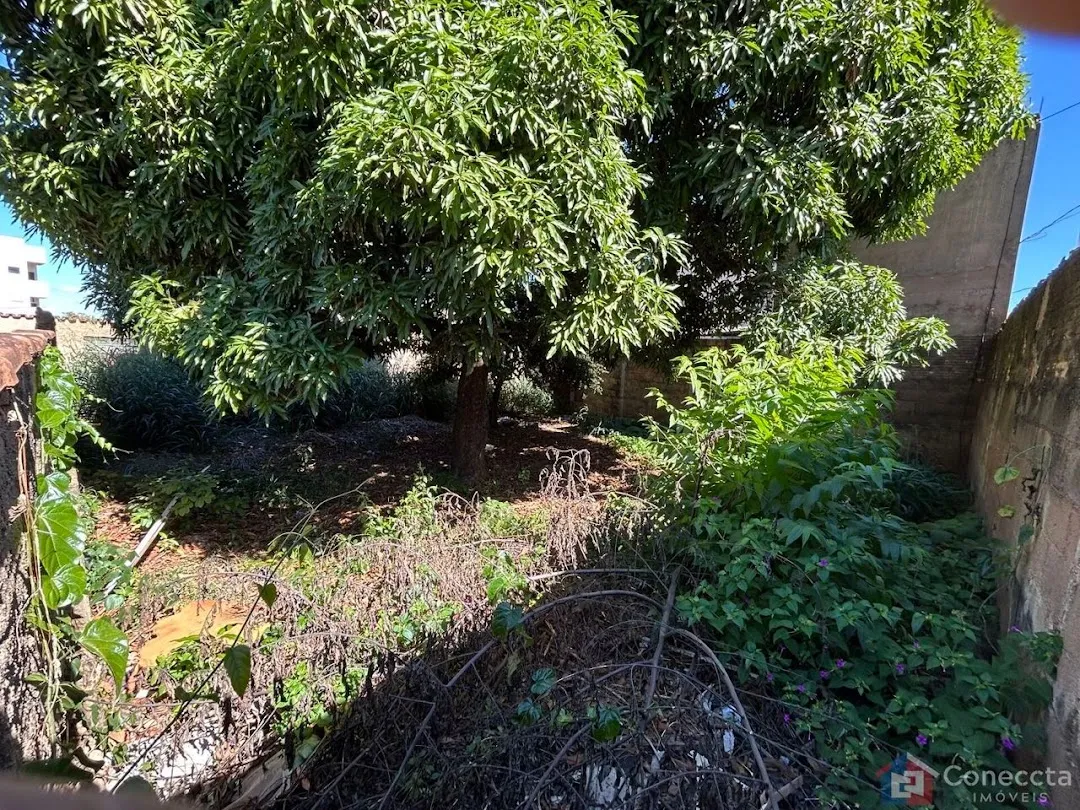 Imagem Terreno Residencial à venda, São Francisco, Patos de Minas - TE0066.
