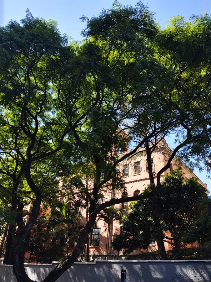 Imagem Apartamento para Locação em São Paulo / SP no bairro Vila Buarque