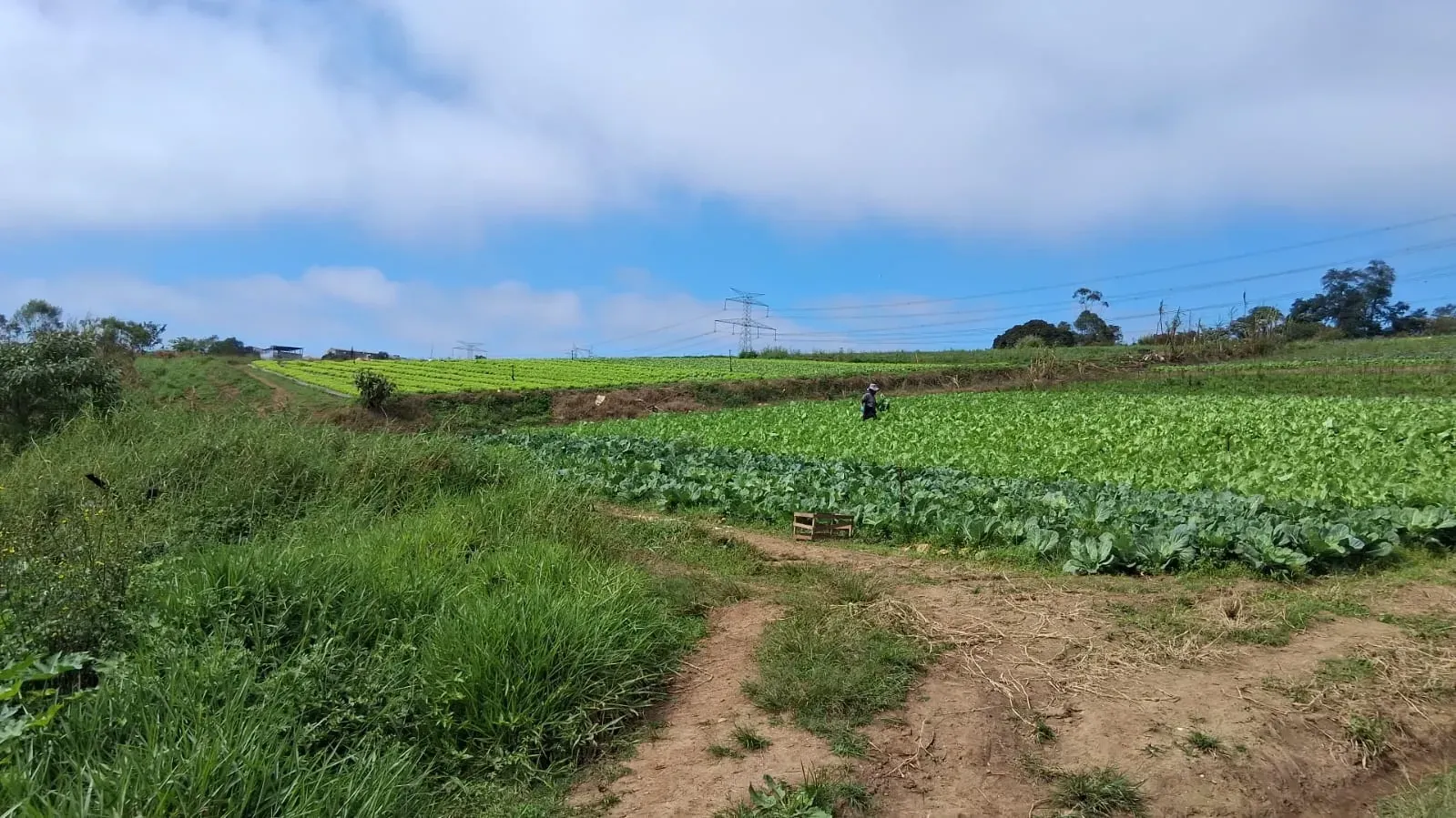 Imagem Terreno à Venda, 186.000 m² em Pirituba - Arujá