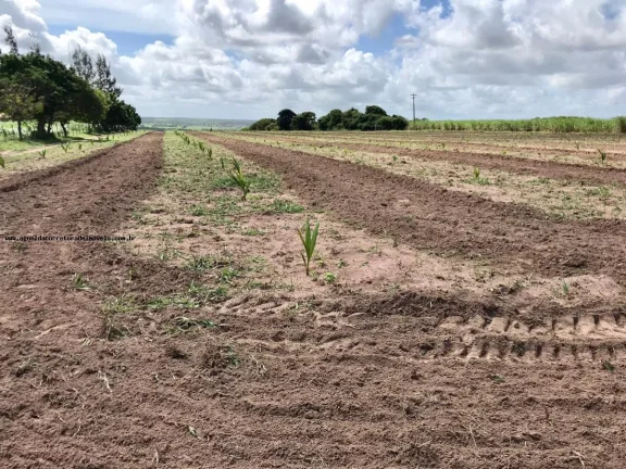 Imagem Granja para Venda em São Gonçalo do Amarante, Jardins, 3 dormitórios, 2 suítes, 4 banheiros, 6 vagas