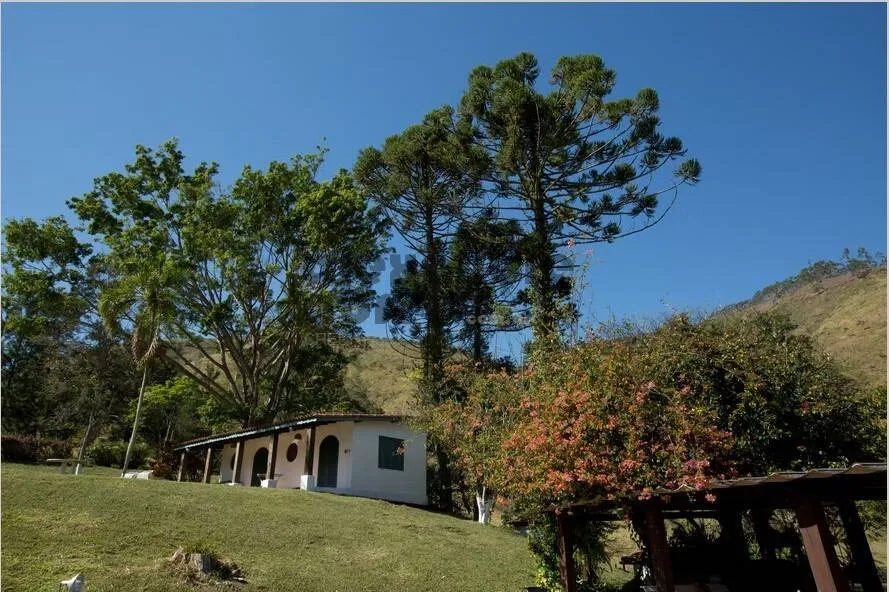 Imagem Fazenda Produtiva e Infraestrutura Completa em 130 Alqueires