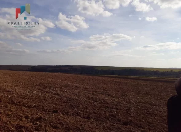 Imagem Fazenda Região de Tiête SP