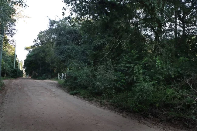 Imagem Lindos terrenos (2), belíssima mata nativa, privativo, Águas Claras