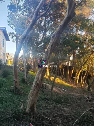 Imagem Terreno em Vila Assunção, Porto Alegre/RS