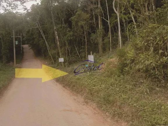 Imagem Chácara Recanto Verde - 2 Lotes (total 2.092,72 m²) Km 39 Raposo Tavares