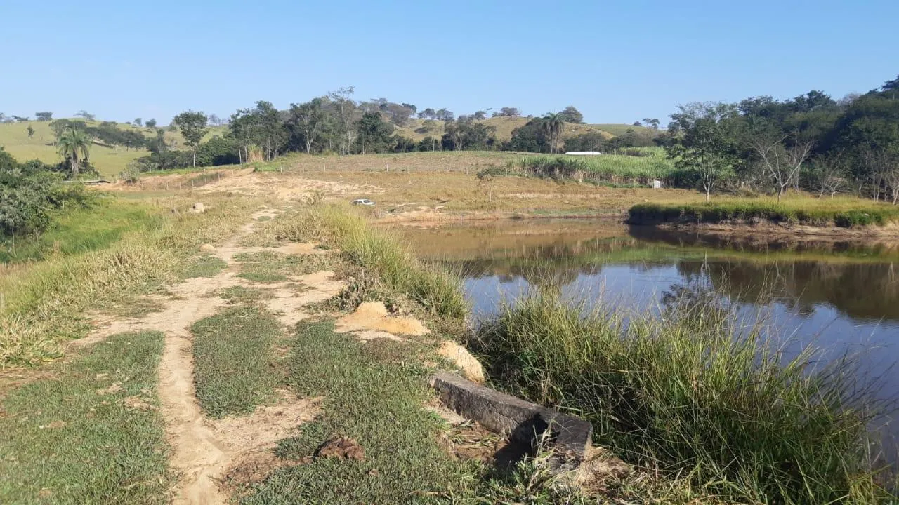 Imagem FAZENDA À VENDA - SÃO GONÇALO DO PARÁ 120 hectares de terra