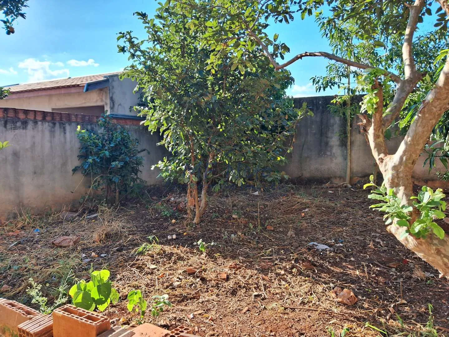 Imagem Casa Padrão