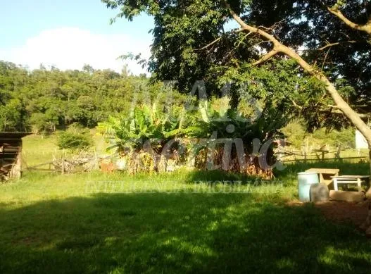 Imagem Linda Chácara para Venda em Taquara Bairro Pega Fogo