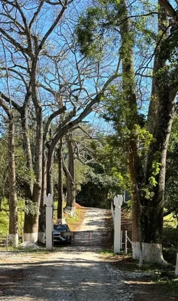 Imagem TERRENO À VENDA EM JARINU DIVISA DE CAMPO LIMPO.