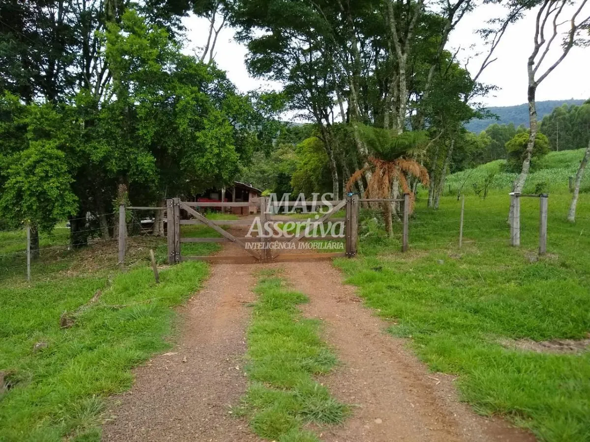 Imagem Sítio para Venda em Três Coroas / RS no bairro Canastra Baixa