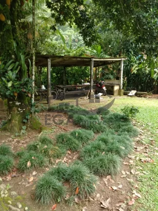 Imagem CASA NO SERTÃO BOIÇUCANGA